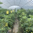 다두농장 이미지