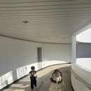 서구 신촌어린이공원 | [아이랑 일상]부산 어린이뮤지컬 9,900원!!! 피터팬 관람후기(feat.민주공원의 가을)25.11.02.