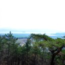 증도면 도로변 돈나무길 조성사업 | 강진 역사와 문학이 살아 숨쉬는 곳, 다산서당에서 백련사를 넘어 강진읍내를 걷다
