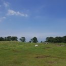 말무리목장 이미지