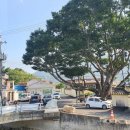 양등경로당 이미지