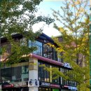 아이펫살롱 이미지