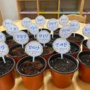 아이젤어린이집 이미지