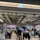 현대유니폼 | 아디다스 손흥민 LAFC 유니폼 져지 더현대서울 오프라인 실착 후기