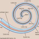 금강보청기 관악센터 이미지