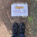 삼화 태권브이스쿨 이미지