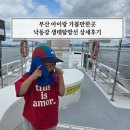 부산 아이랑 가볼만한곳 을숙도 낙동강 생태탐방선 예약 주차 팁