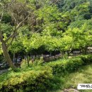 (주)성원기업 이미지