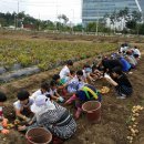 영근농장 이미지