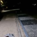 연지공원(타고가야) 이미지