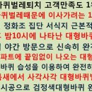 안양시 동안구 범계동 아파트입니다.3달전에 한두마리 바퀴벌레가 보였는데 지금 많아진것 같습니다.고양이가 있어서 바퀴벌레퇴치를 제대로 못했습니다. 이미지