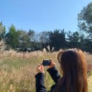 도마산초등학교 | 마장호수 가려다가 &#39;벽초지수목원&#39; 가서 가을 한가득 담아가지고 왔어요!