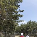 원산도해수욕장 화장실 이미지