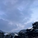 몬스터샵 - 용산구 백범로77길 62 | 몬스터샵