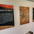 조가네갑오징어(대구팔공산점)