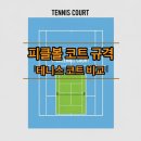 덕정탁구전용구장 | 피클볼 코트 규격 사이즈, 테니스 코트 크기와 비교 정말 달라요
