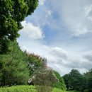 화평상사 이미지