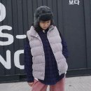 N115 이미지