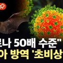 SI방역