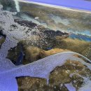 대복횟집 이미지