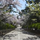 제황산모노레일 이미지