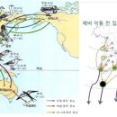 (푸른숲주니어) 아름다운 것도 필요해. 이미지