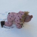 재미 쑥 말 걸기 그림책 놀이 B | 엄마표 영어 룰루버니 잉글리시 8기 앰버서더 활동 후기