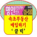 동그라미 공인중개사사무소 이미지