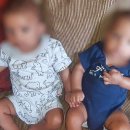 쌍둥이 임산