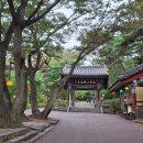 예산-01 이미지