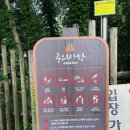 직동교 이미지