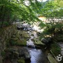 울산종합관광안내소 Daum카페