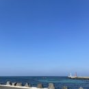 해난디아장 | 제주 카페 : 월정리 카페 추천 해난디아장 카페 다녀 온 후기