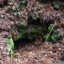 오고생이 이미지