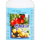 새마을로1L-1 이미지
