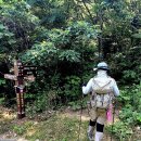 제185차 미황사 달마고도 1코스 왕복 탐방 이미지