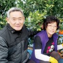 백세농업 이미지