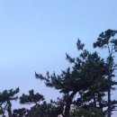 그레이스830 이미지