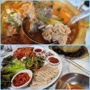 양은이네동태탕보쌈냉면 방화동점 | 주안역 맛집 술안주 추천 동태탕+오징어보쌈+냉면세트 양은이네 인천주안역점