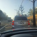 신북약국 | 코로나19 확진 재택치료 후기 TMI / 자가검사키트 정확성 / 춘천 구호물품 최고