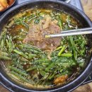 원촌삼거리 버스정류장 | 대전 유성 원촌동 맛집 DCC 근처 식사 오리 로스 오리탕 잘하는 집 서원골 유황오리