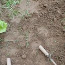 서들농장 이미지