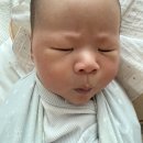 체육관로80번길 | 제왕절개 후 모유수유 시기 언제부터? 3개월차 모유수유 직수 성공후기