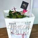 다름플라워스튜디오 - 고양시 일산서구 대화로 115 | 일산 킨텍스 꽃집 다름플라워스튜디오 화분 선물 안스리움