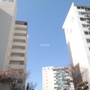 약수방 네이버블로그
