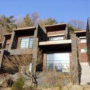 포레스트리솜 이미지