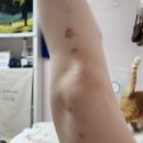 (주)해피두레 | 노세 노세 젊어서 노세 늙어지면 못 노나니