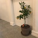 보문자동차공업사 이미지