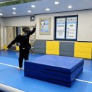 김종현 태권도 이미지