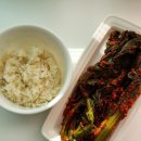 맛있는 갓김치 추천 현진푸드 여수돌산갓김치 택배후기